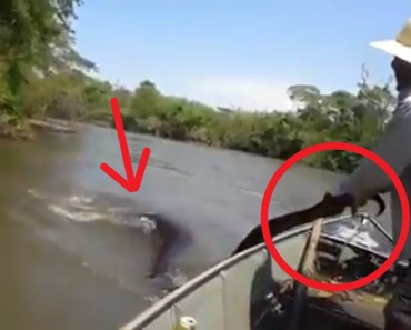 Brazilian man grabs a GIANT ANACONDA by the tail, on the Amazon river