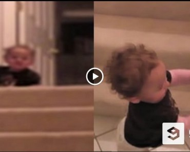 This Baby Girl Learns The Fastest Way Down The Stairs, And It’s HYSTERICAL!