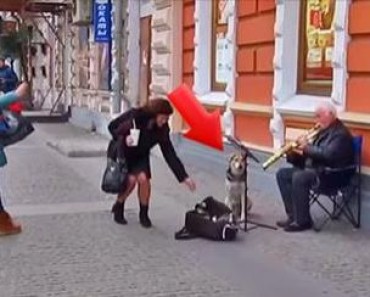This Street Musician Didn’t Expect To See This When He Sat Down For A Performance