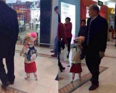 Amazing: Everybody Thought This Is A Little Girl Walking Next To Her Dad! They All Froze After Taking A Better Look!