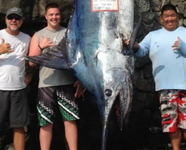 Teen Reels In Enormous Blue Marlin Off Hawaii. “It’s The Catch Of A Lifetime!”
