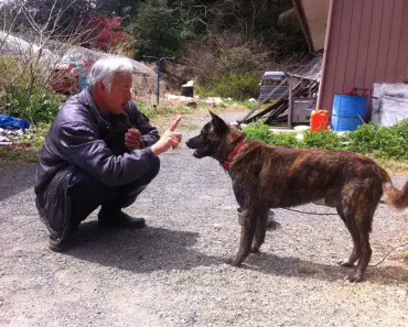 The Last Man of Fukushima: Man Returns to Radioactive Area to Feed Abandoned Animals