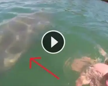 She Was Out For A Relaxing Swim, But When She Saw THIS? She FREAKS OUT! OMG!