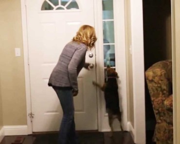 Dog’s Owner Was Gone For 2 Years, But When He Hears The Doorbell He’s Ecstatic