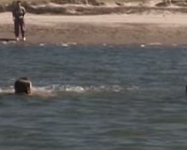 14-Year-Old Girl Was Drowning… But Watch As A Blind Dog Does The Unthinkable