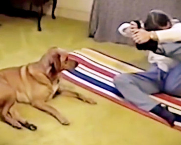 This Lady Tries Yoga In Front Of Her Dog. Watch The Dog’s Response