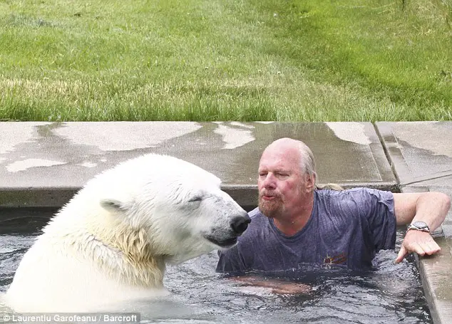 The Only Man In The World Who Can Swim With A Polar Bear