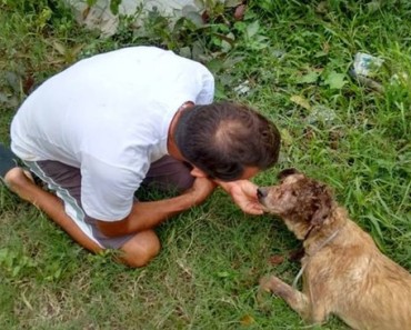 This Man Is A Hero. Take A Look What He Did For This Dog!