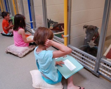 This Animal Shelter Hosts A Children’s Reading Program And It’s Changing Everyone’s Lives