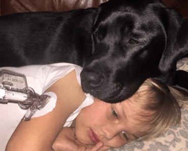 Dog Saves The Life Of Sleeping Boy With Type 1 Diabetes