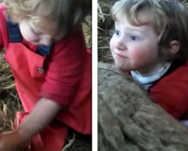 This 3-Year-Old Farm Girl Did Something That Will Leave You Absolutely Speechless