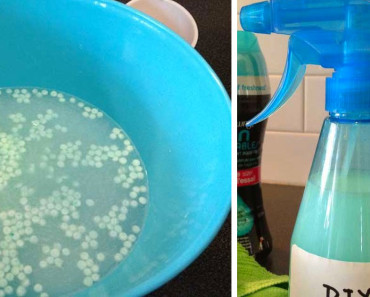 Friends Raved About How Amazing Her House Smelled. Then She Showed Them Her Surprising Secret