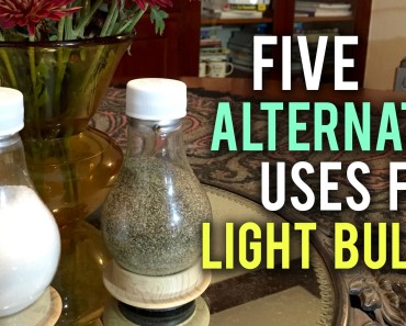 Uses For Old Light Bulbs