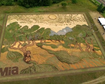 Dude Spent 6 Months Recreating A Van Gogh Painting Using Plants In A 1.2-Acre Field