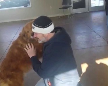 Long Lost Dog Reunited With Family After 20 Months of Separation