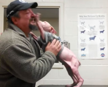 Pit Bull Puppy Gets The Surprise Of A Lifetime When His Rescuer Returns To Adopt Him
