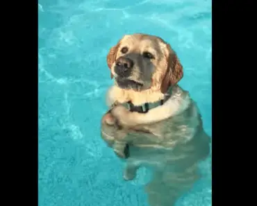 When you realise you can stand in the pool…