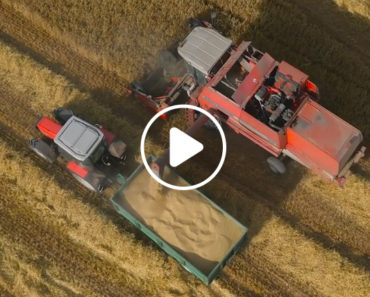 Watching The Harvest From A Drones-Eye View Is Simply Mesmerizing