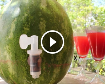 Turn a watermelon into a drink dispenser with EASY trick — Awesome!