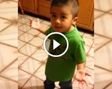 Mom caught her toddler stealing cupcakes. His defense? HILARIOUS!