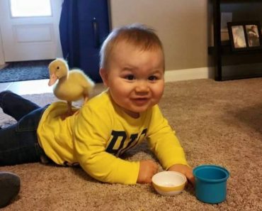This Little Boy and His Duck Are the Most Adorable Best Friends You’ll Ever See
