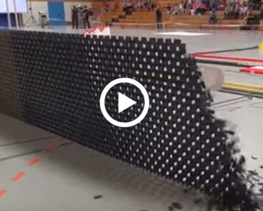 128,000 dominoes fall in a matter of minutes. The footage is absolutely mesmerizing