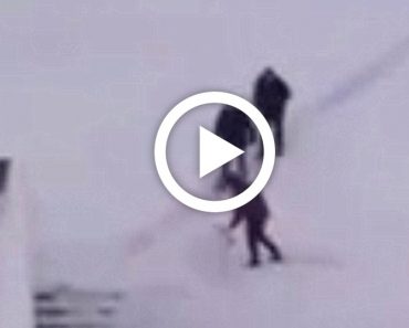 Janitor Begins Shoveling A Path – When I Saw His Design I Couldn’t Stop Laughing