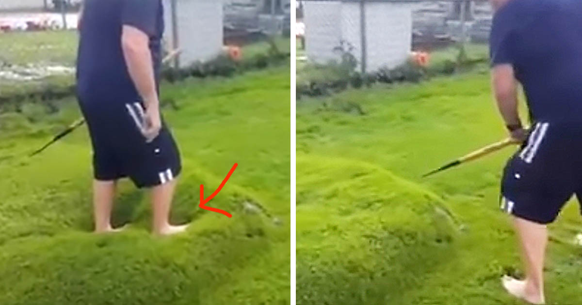 Man Finds Giant “Bubble” In His Yard. Pokes Stick In It And Captured Footage Goes Viral