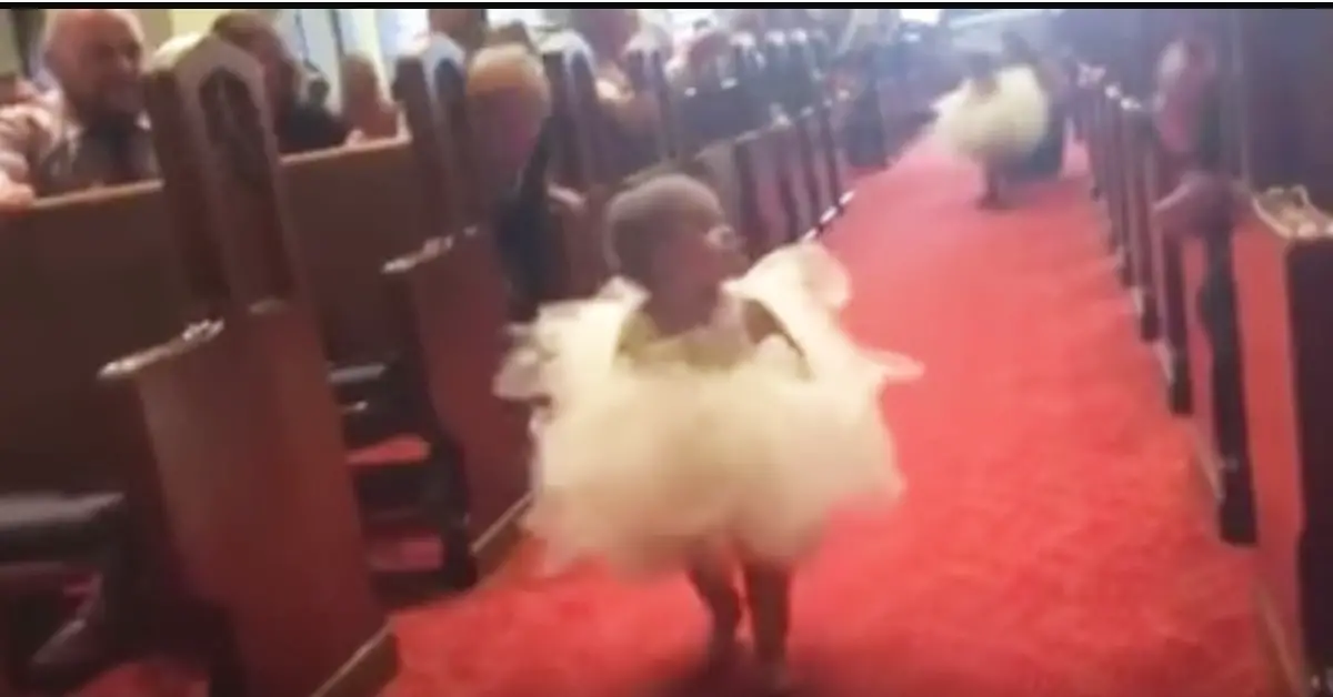 Flower Girl Scans Aisles For Familiar Face, Now Watch Her Steal The Show At Sight Of The Groom