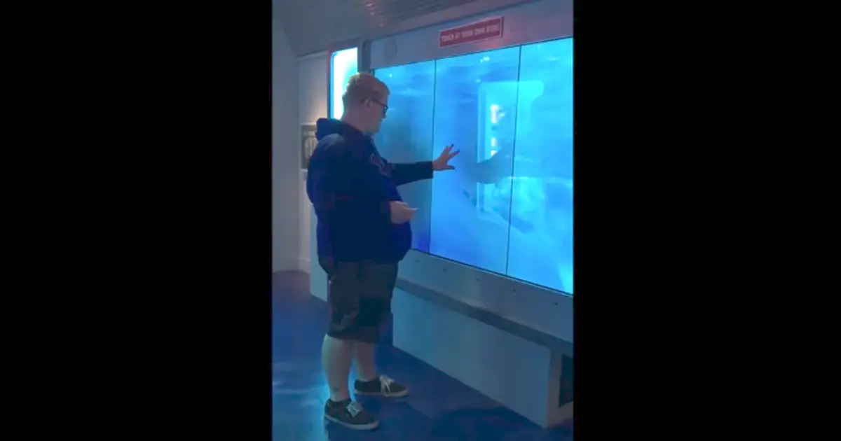 Man Touches Glass at Aquarium Display, Seconds Later Knocked to His Feet in Sheer Fright