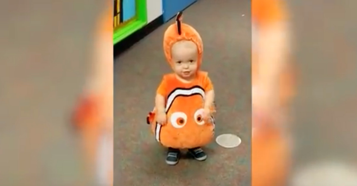 Tiny Toddler Dresses Like Clown Fish, But When He Turns Around Dad Erupts in Laughter