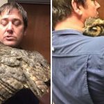 owl hugs rescuer