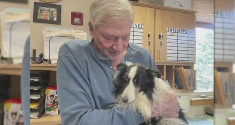 Sheltie Dog Lost in Mountains for 5 Weeks Randomly Found, Reunites with Dad